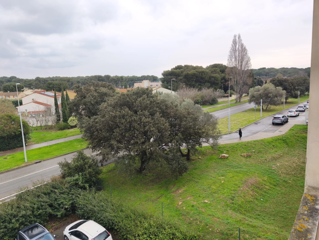 Espace vert devant l'Ehpad les Cardalines